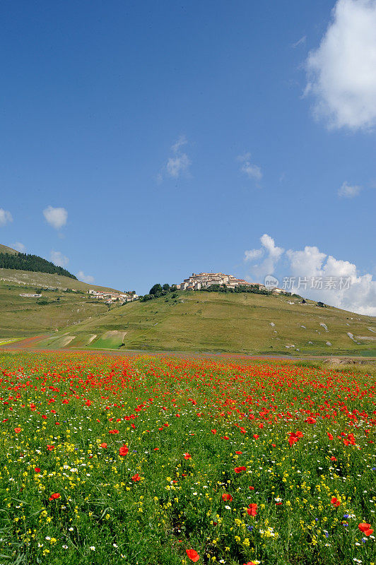 Castelluccio，佩鲁贾，Norcia, Umbria，意大利